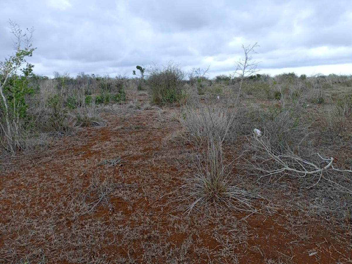 5,000 ft² Land at Malindi Muungano - 10