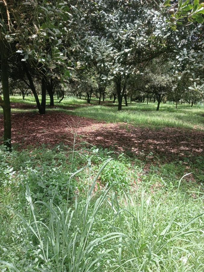 0.125 ac Land at Thika Grove Chania-Opposite Blue Post Hotel - 12