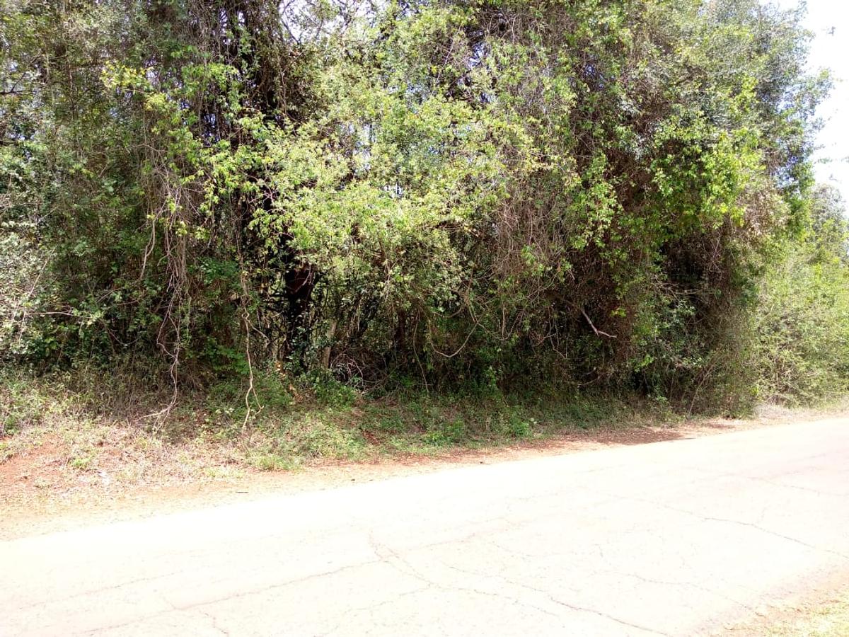 1 ac Land in Karen - 1