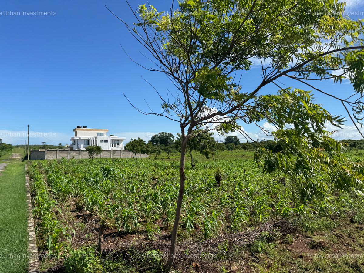 Land in Vipingo - 6