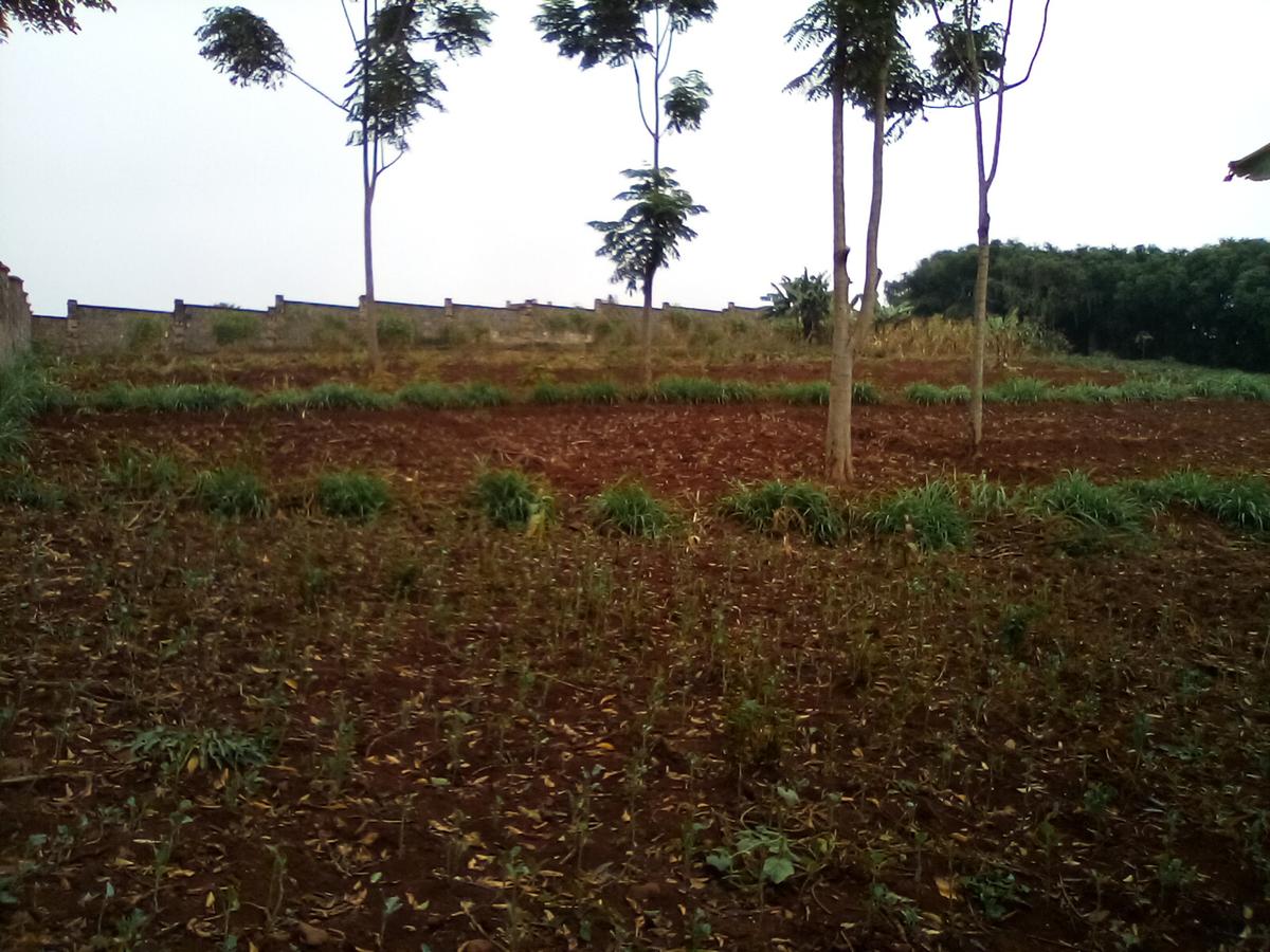 Land at Runda - 5