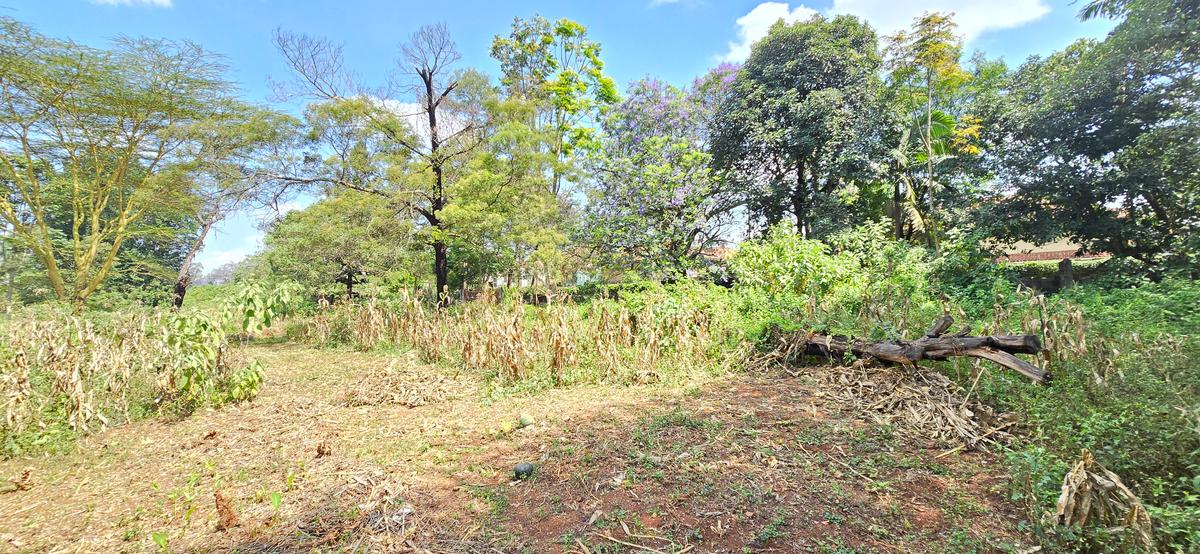 Residential Land at Shanzu Road - 19