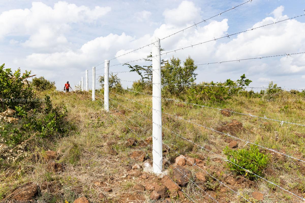 Residential Land at Kikuyu Nachu-Mikuyuini - 11