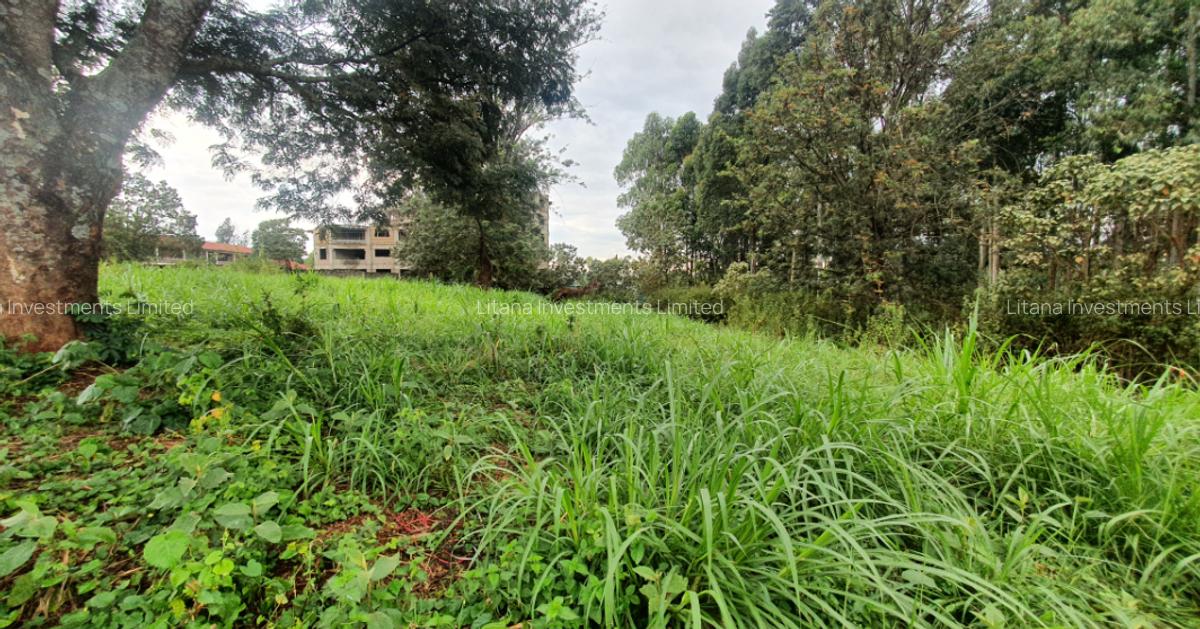 0.5 ac Land at Ruaka Town - 3