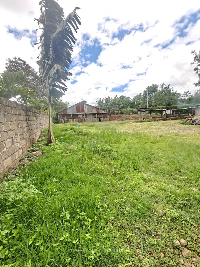 0.5 ac Land in Thome - 1