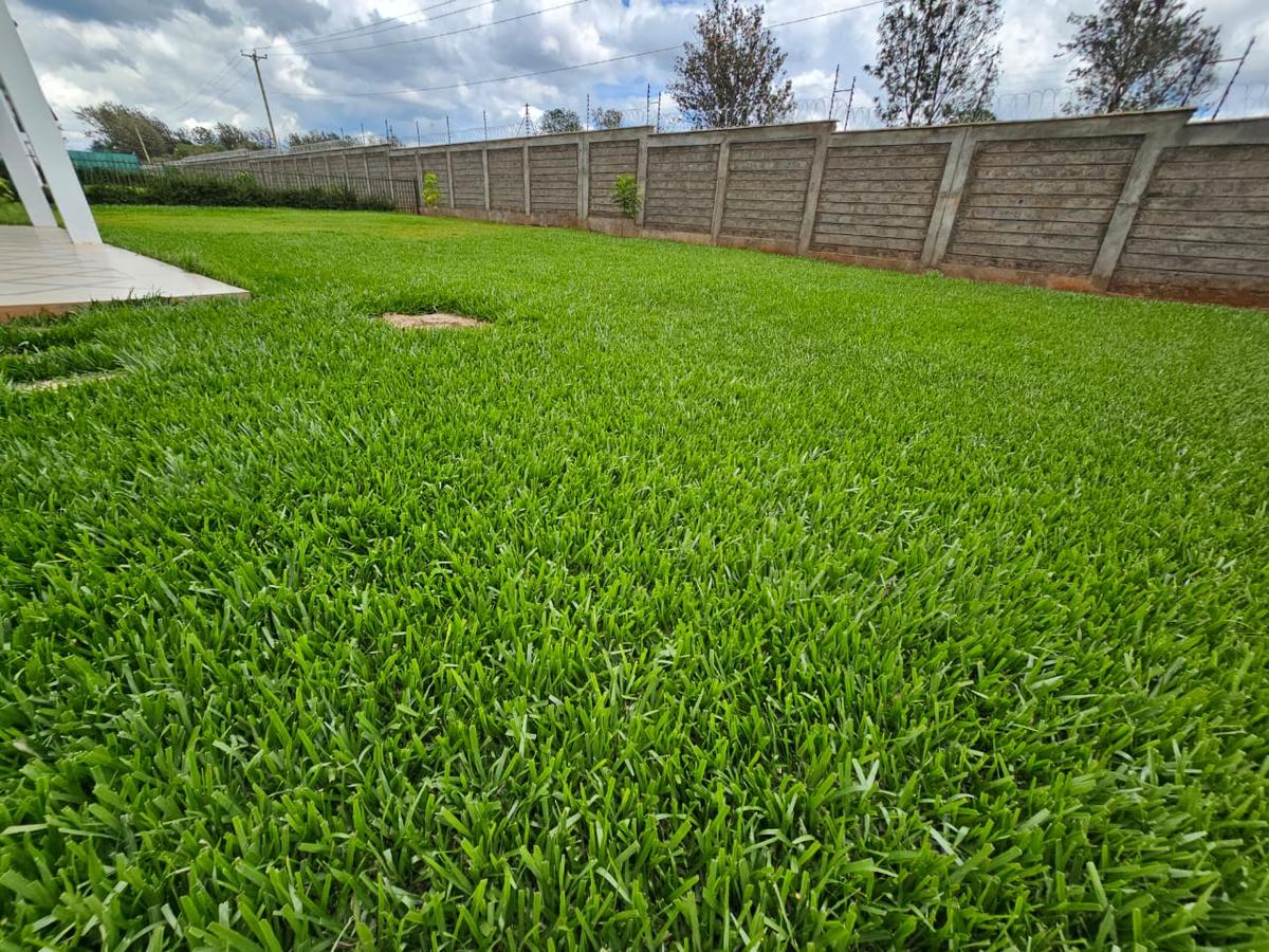 5 Bed Townhouse with En Suite at Off Kiambu Road - 3 5 Bed Townhouse with En Suite at Off Kiambu Road - 3