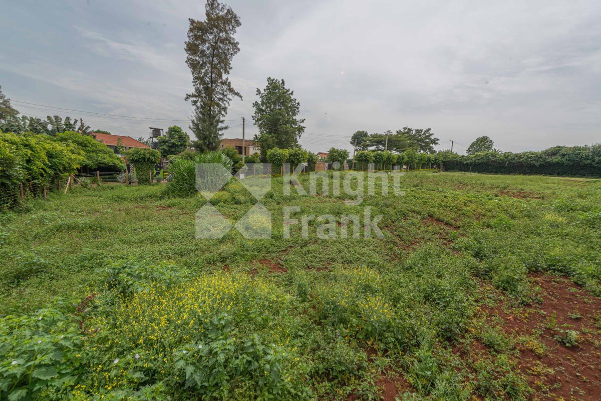 Land in Runda - 4