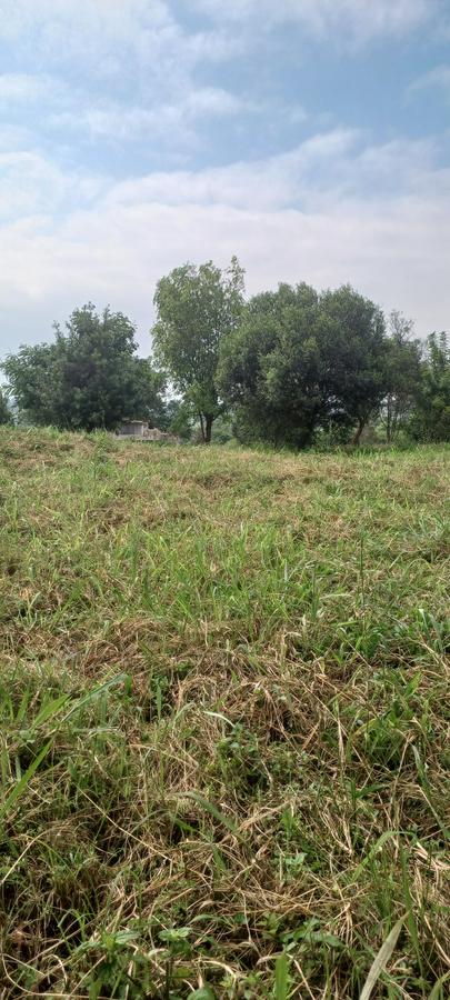 0.5 ac Land in Runda - 9