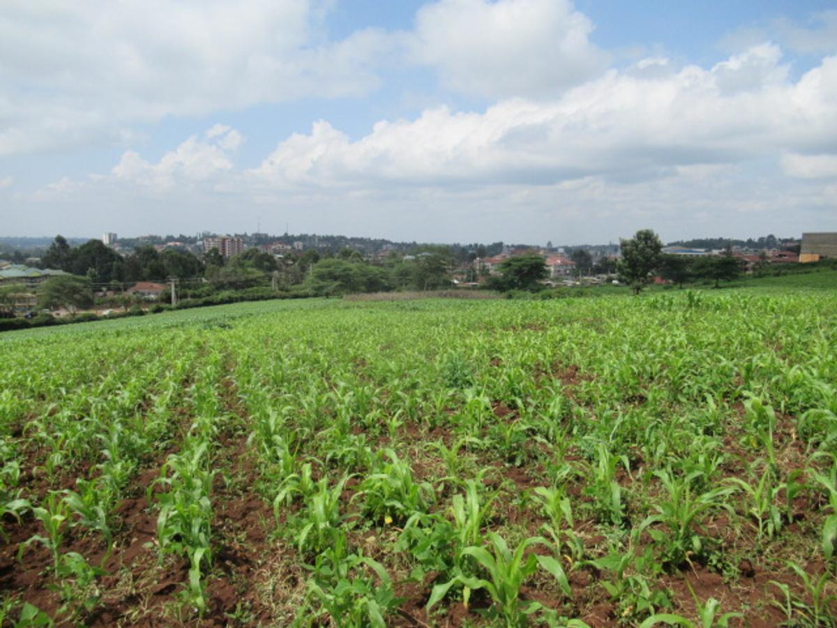 Land at Ngong Town - 13