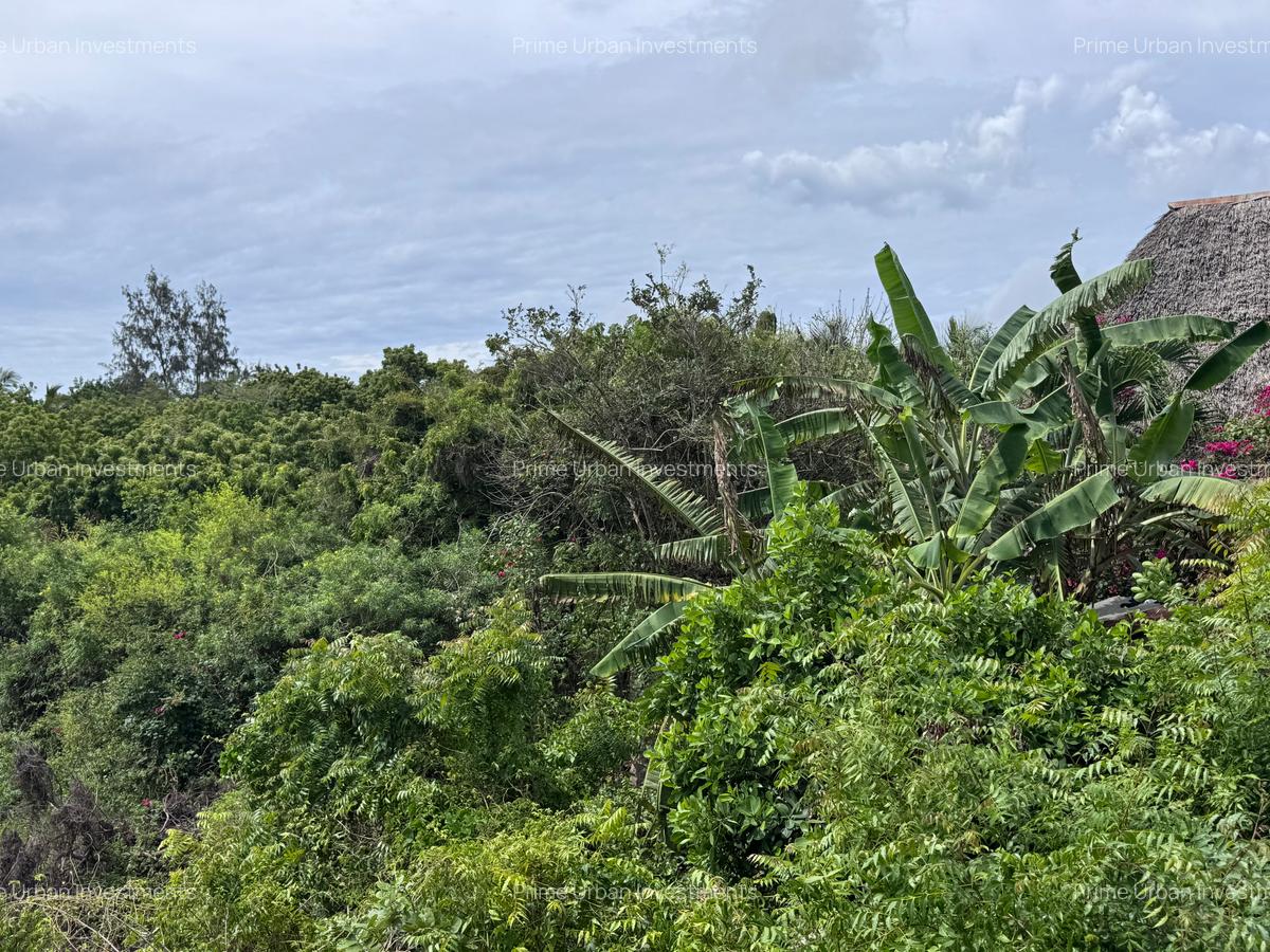 8,093.72 m² Land at Diani 3Rd Row Beach - 9