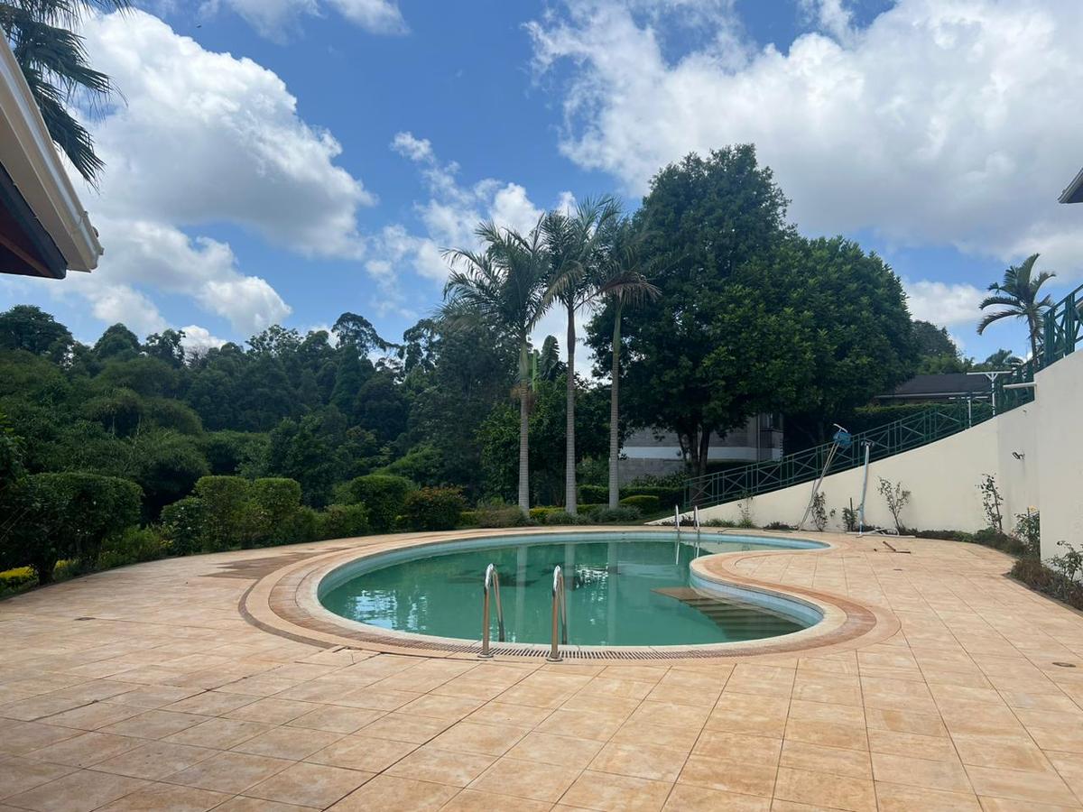 5 bed house with swimming pool in nyari
