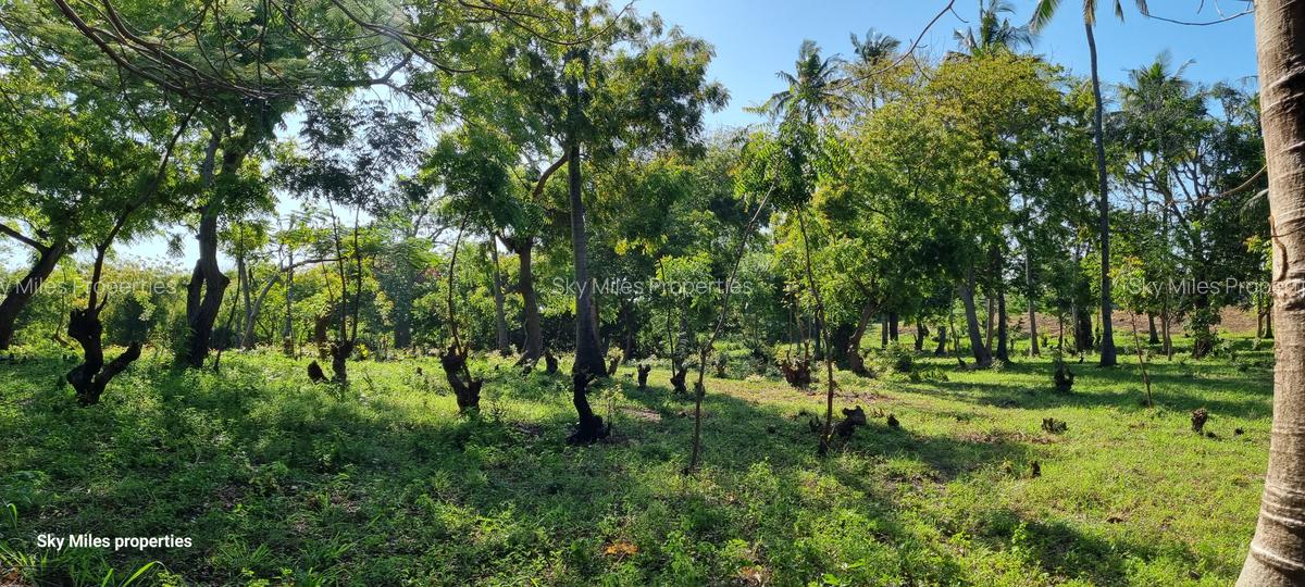 1,000 m² Land at Kikambala - 11