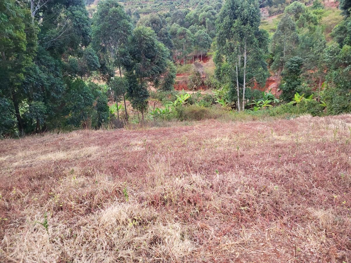 Land in Machakos - 1