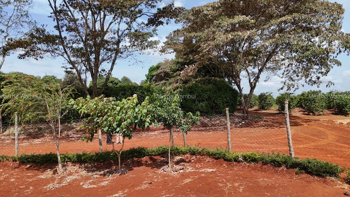 10,000 ft² Residential Land in Kenyatta Road - 4