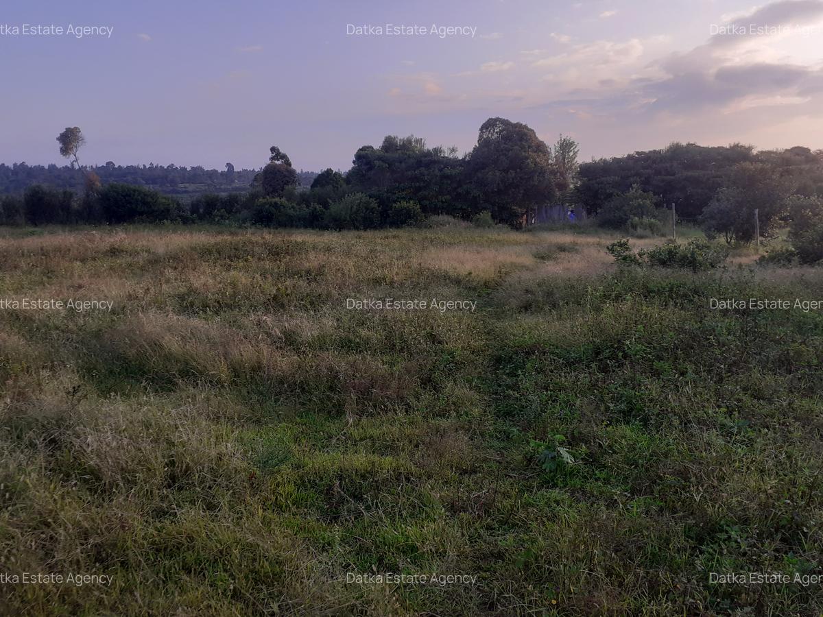 0.5 ac Residential Land in Nanyuki - 5