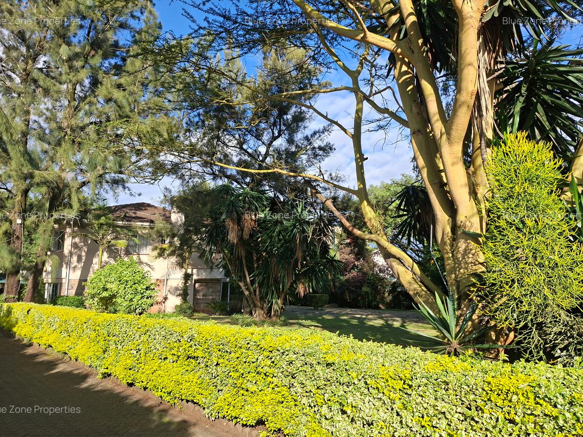 0.47 ft² Commercial Property with Backup Generator at Off Ngong Rd - 5