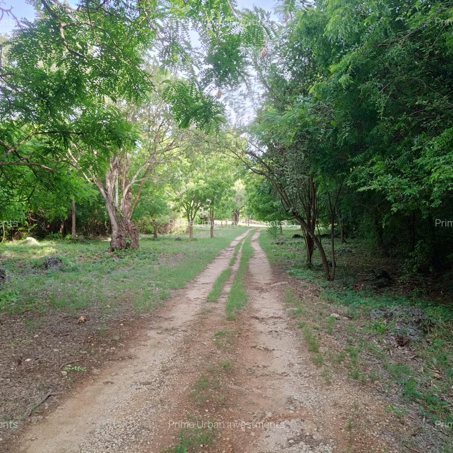 90 ac Residential Land at Kuruwitu-Vipingo - 8