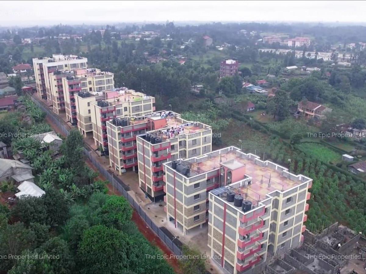 Serviced 1 Bed Apartment with Parking at Kibichiku - 17