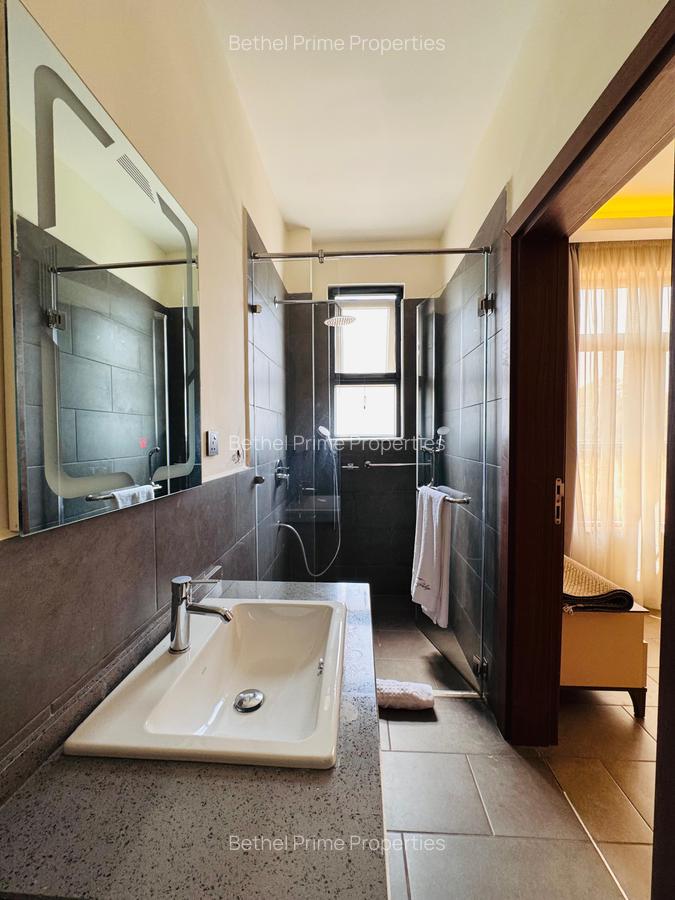 Furnished 1 Bed Apartment with En Suite in Spring Valley - 7