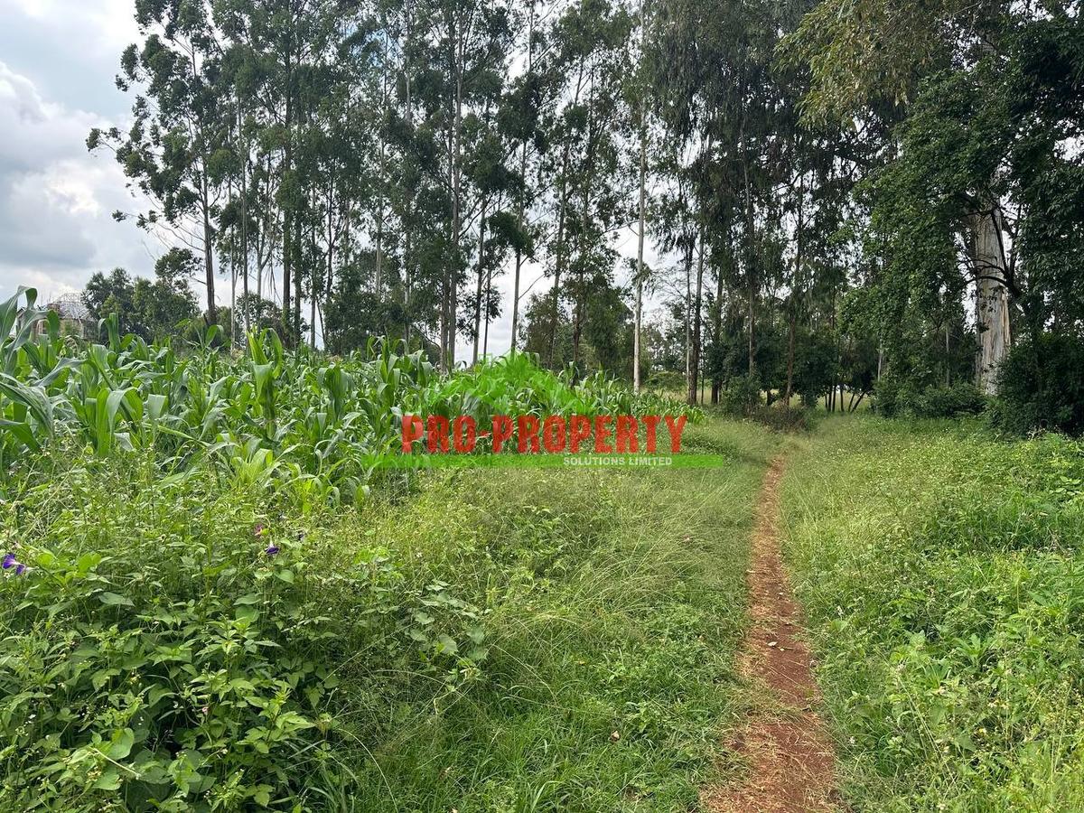 0.1 ha Residential Land at Kikuyu - 9