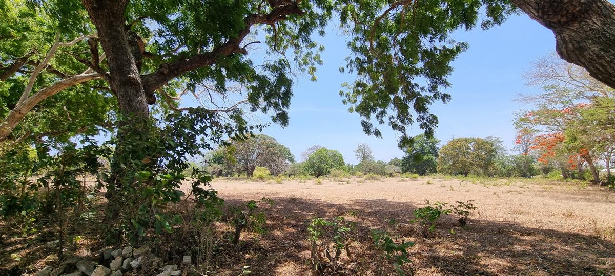 75 ac Land at Vipingo - 9