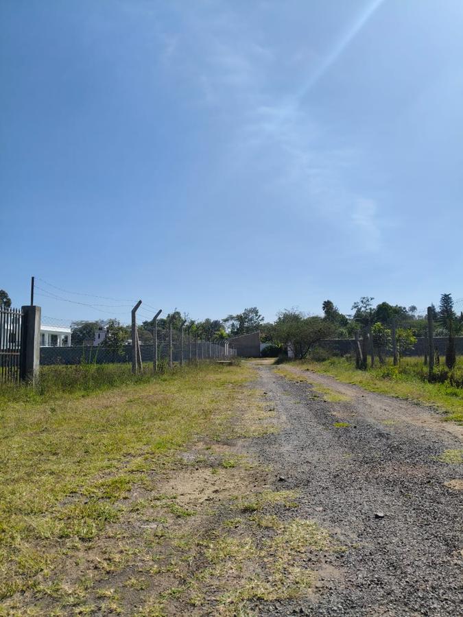 Residential Land at Marula Road - 15