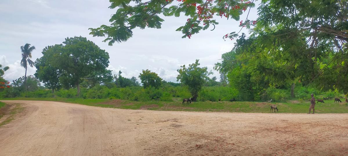 10 ac Land at Majengo - 11