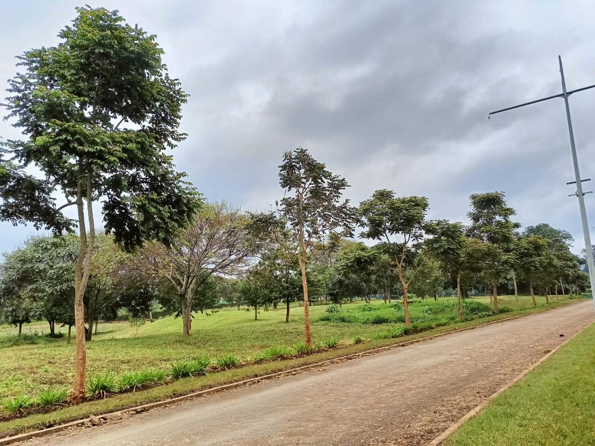 Residential Land at Migaa Golf Estate - 6