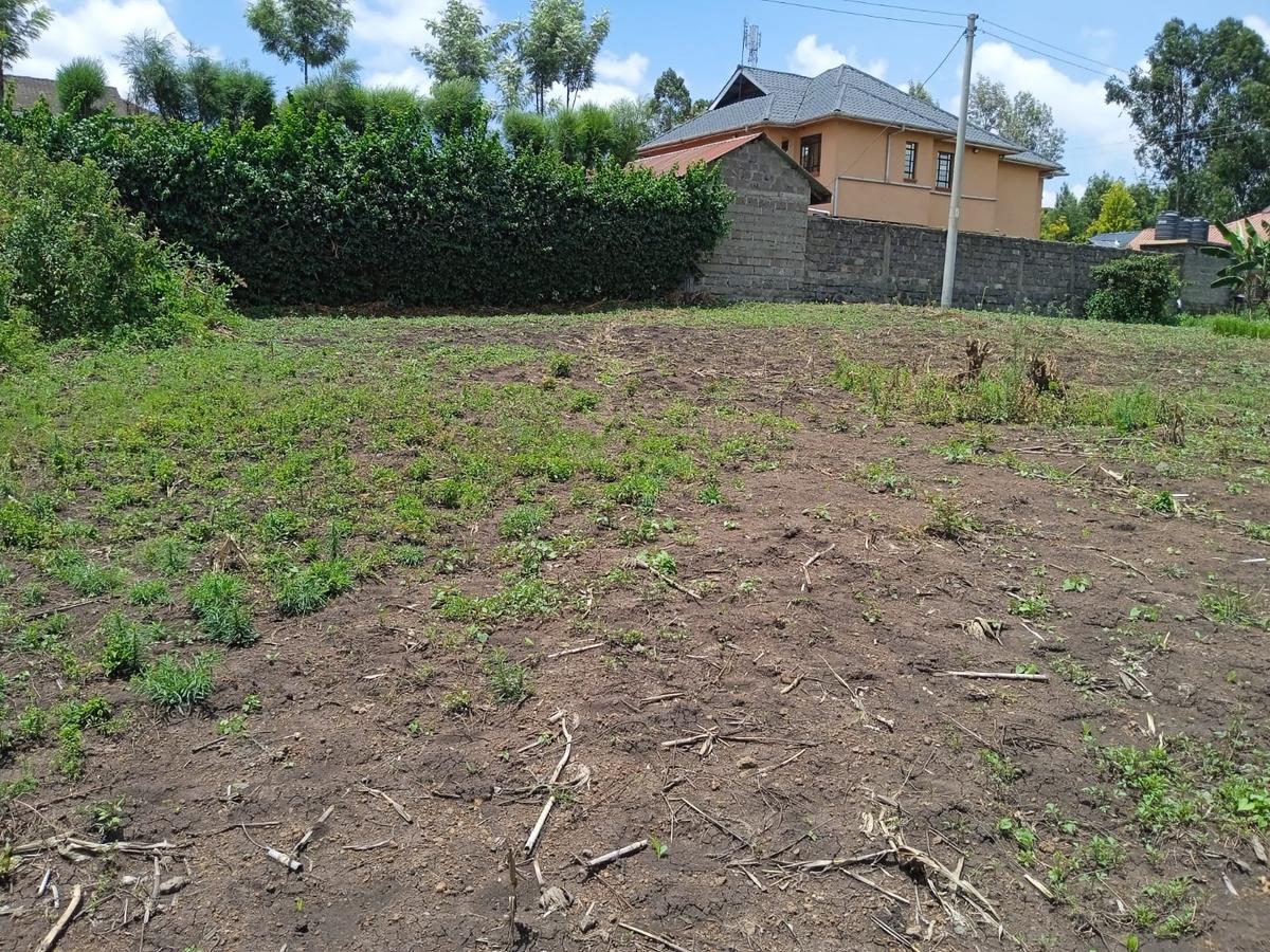 Residential Land in Ngong - 1