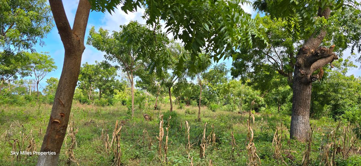 7 ac Land at Kikambala - 4