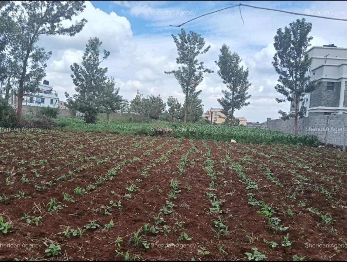 Residential Land at Kiora Estate - 4