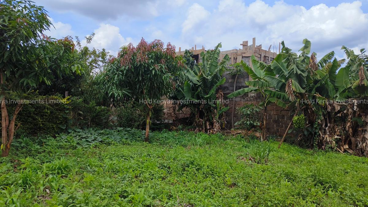 0.25 ac Residential Land at River Side Drive - 5