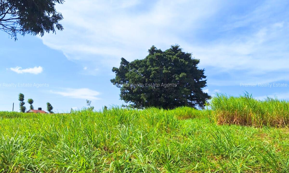 23 ac Land at Kiambu - 5