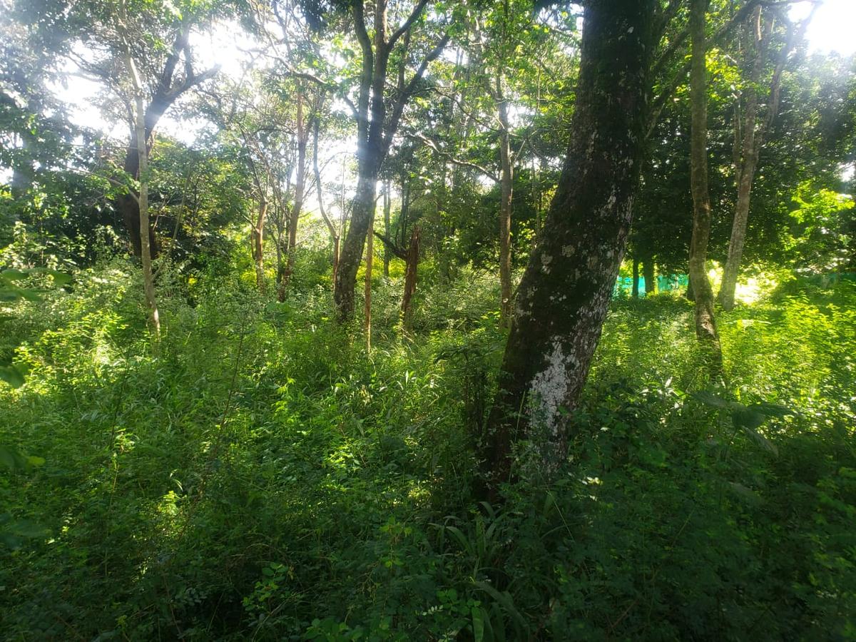 0.5 ac Land in Karen - 6