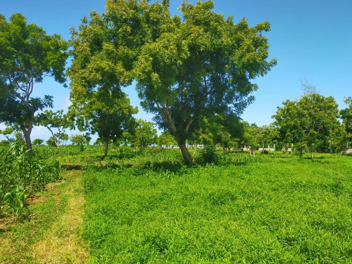 Land in Kilifi County - 2