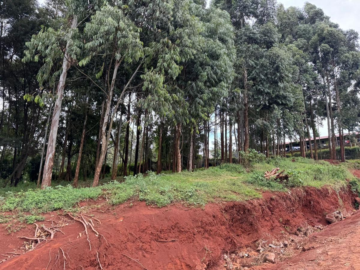 Land in Uthiru - 8