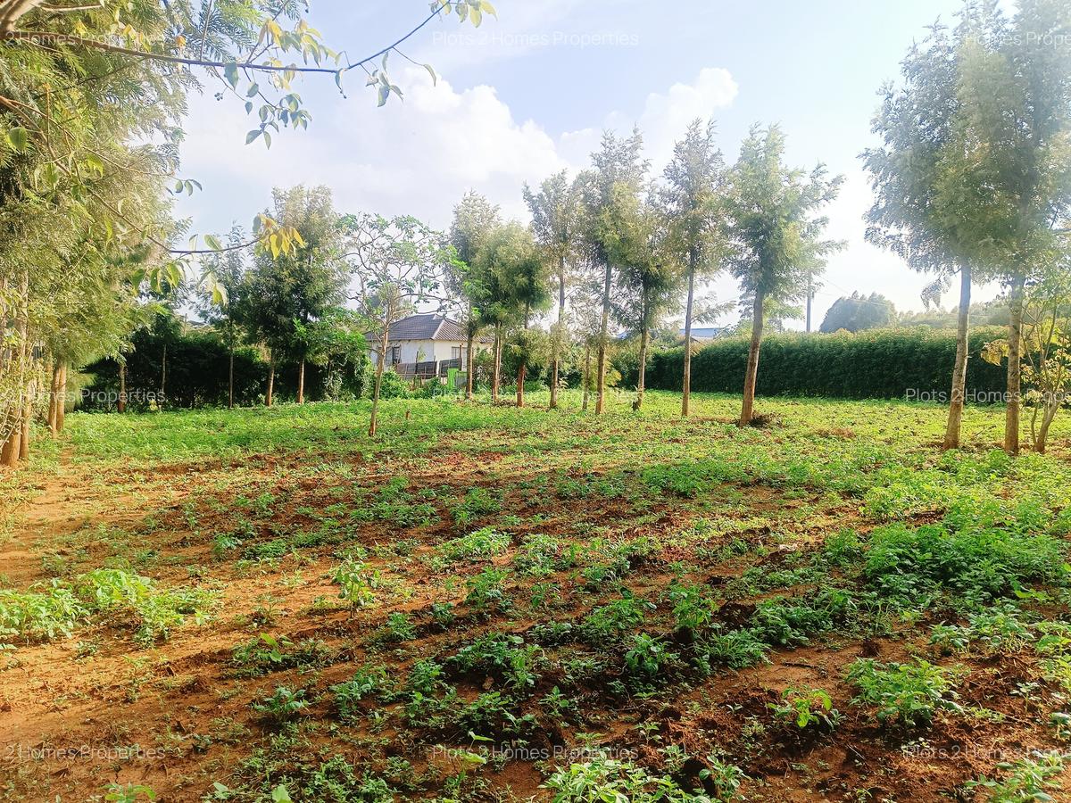 500 m² Residential Land at Nairobi Ndogo Estate - 10