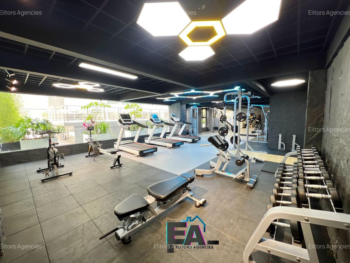 1 Bed Apartment with En Suite at Gitanga Road - 13