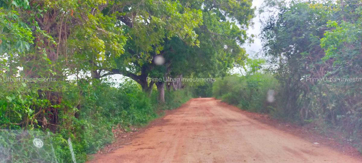 40 ac Land in Vipingo - 3