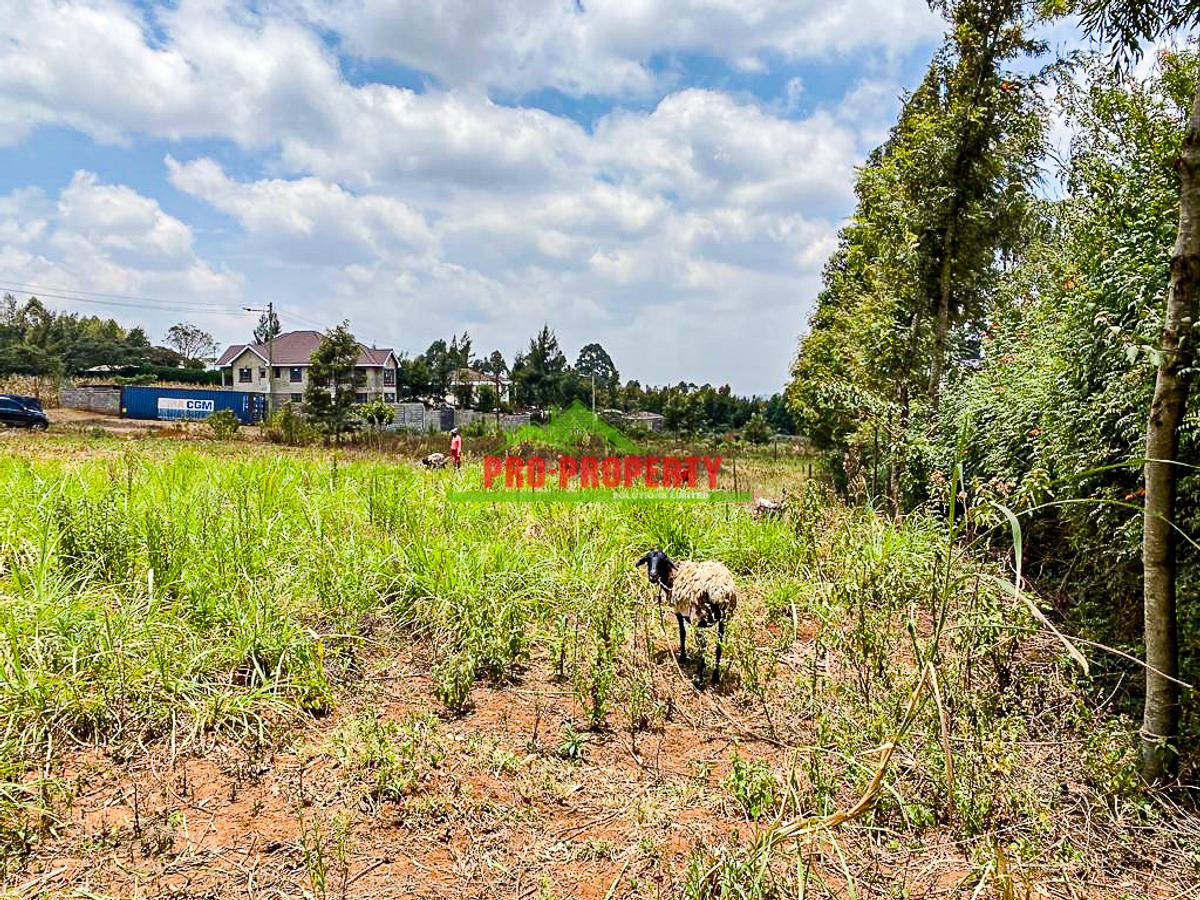 0.2 ha Land at Kamangu - 2