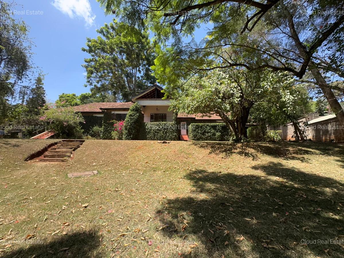 Commercial Property with Parking in Lavington - 1