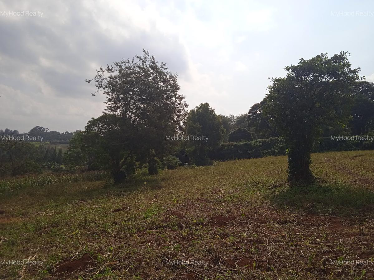 Land in Tigoni - 5