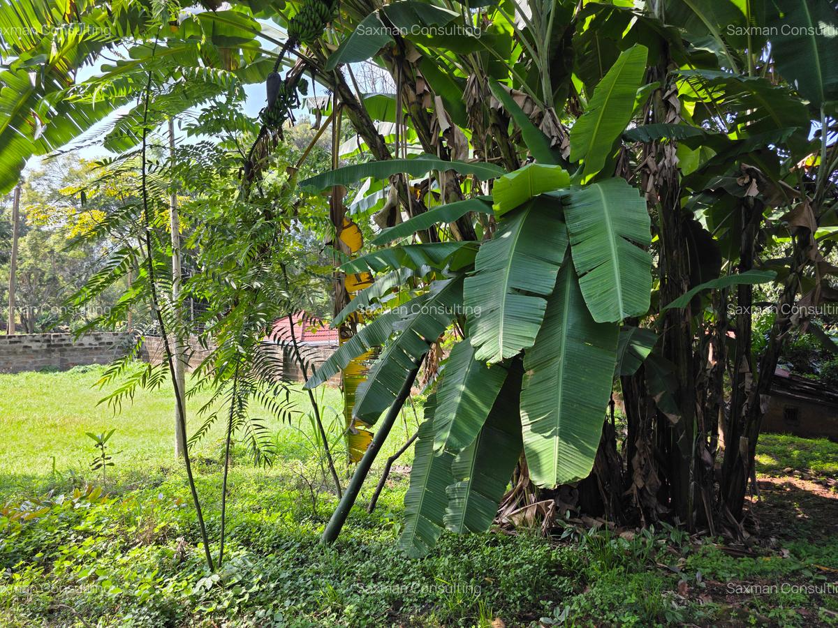 7 Bed House with Staff Quarters in Riverside - 16