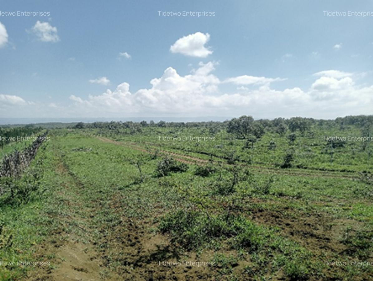 Land in Naivasha - 4