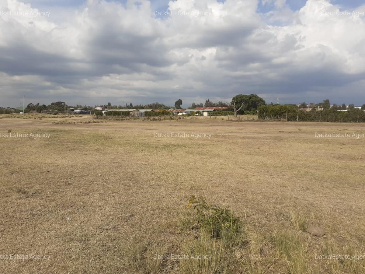 0.125 ac Land in Nanyuki - 12