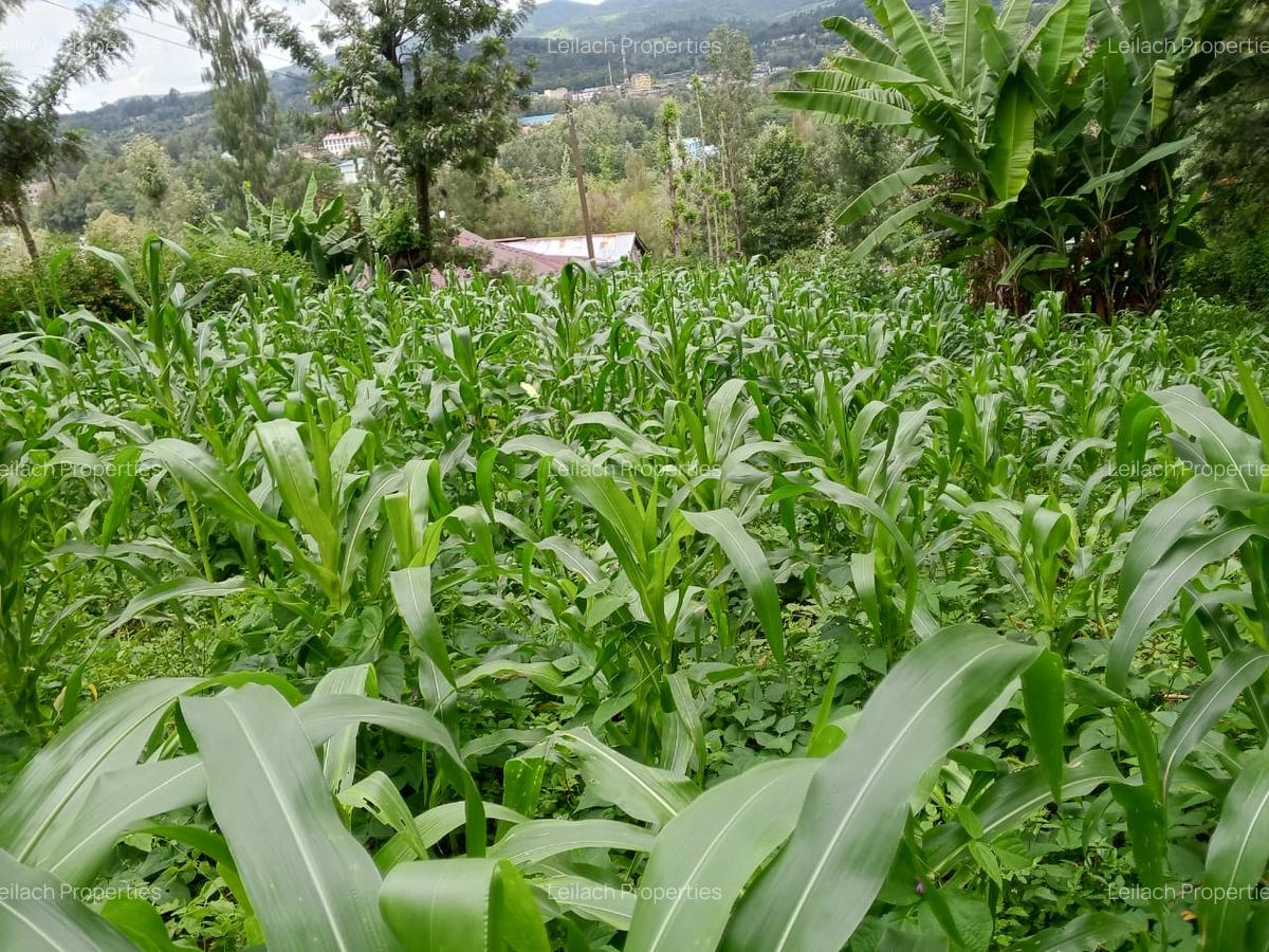 0.25 ac Residential Land in Ngong - 2