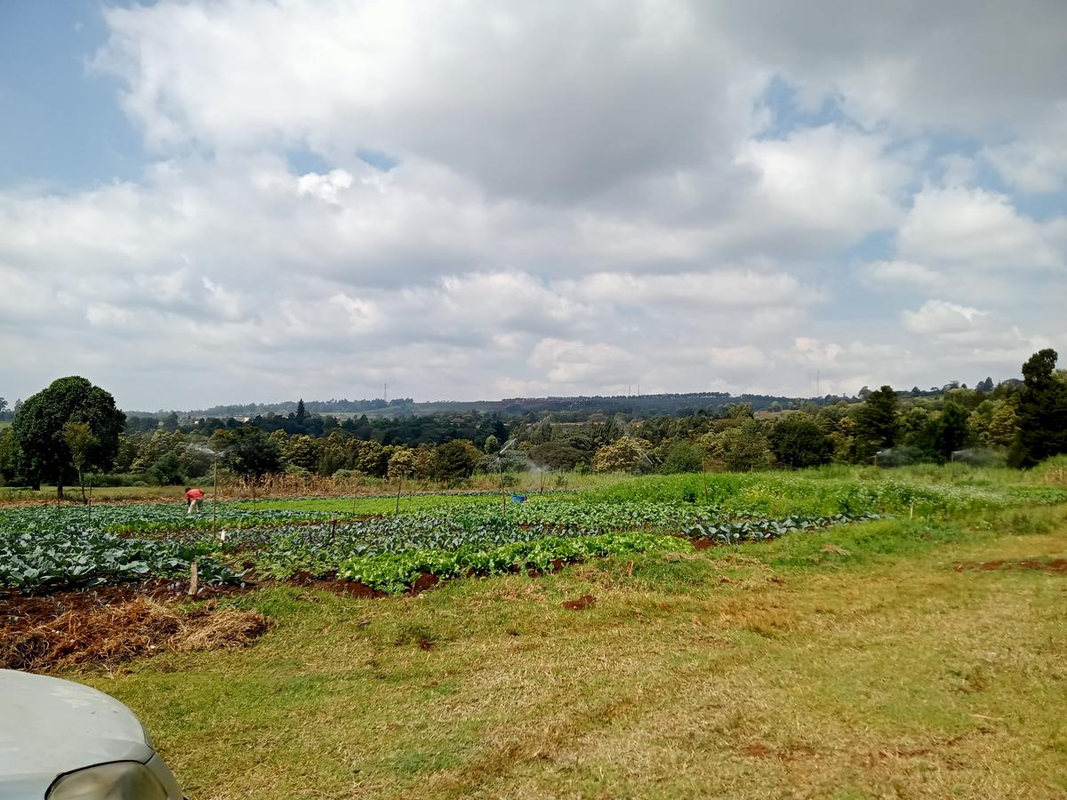 Residential Land in Tigoni - 10