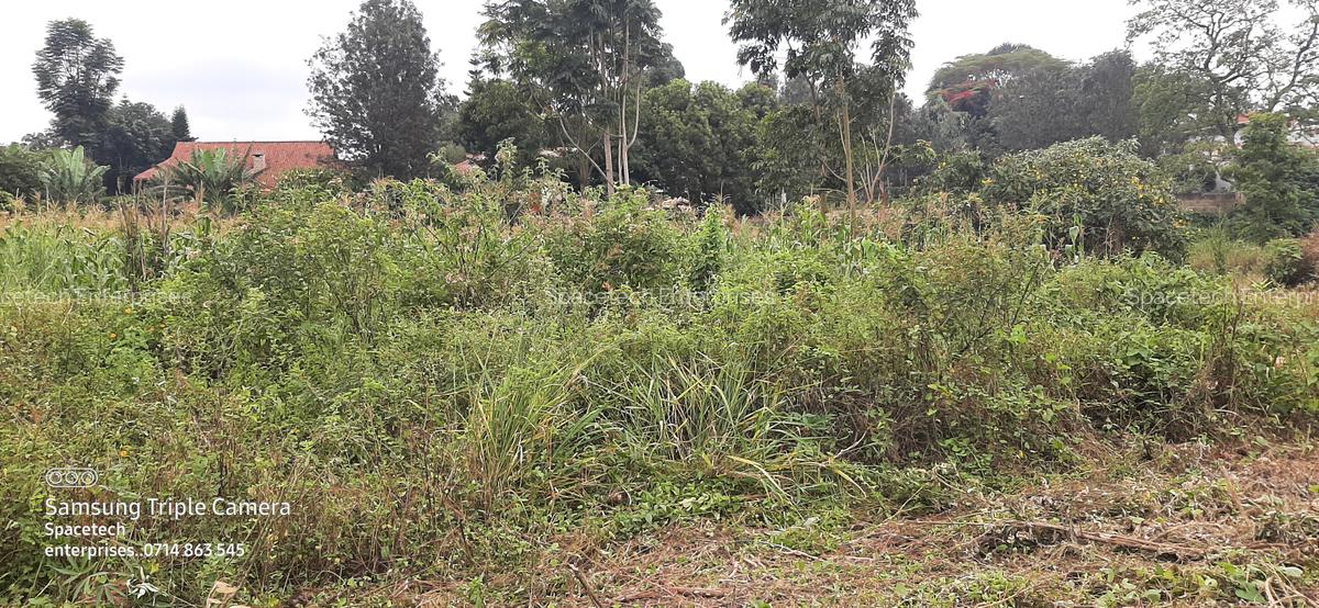 Commercial Property in Nyari - 5