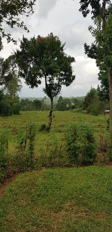 Residential Land at Mokoyot Close - 9