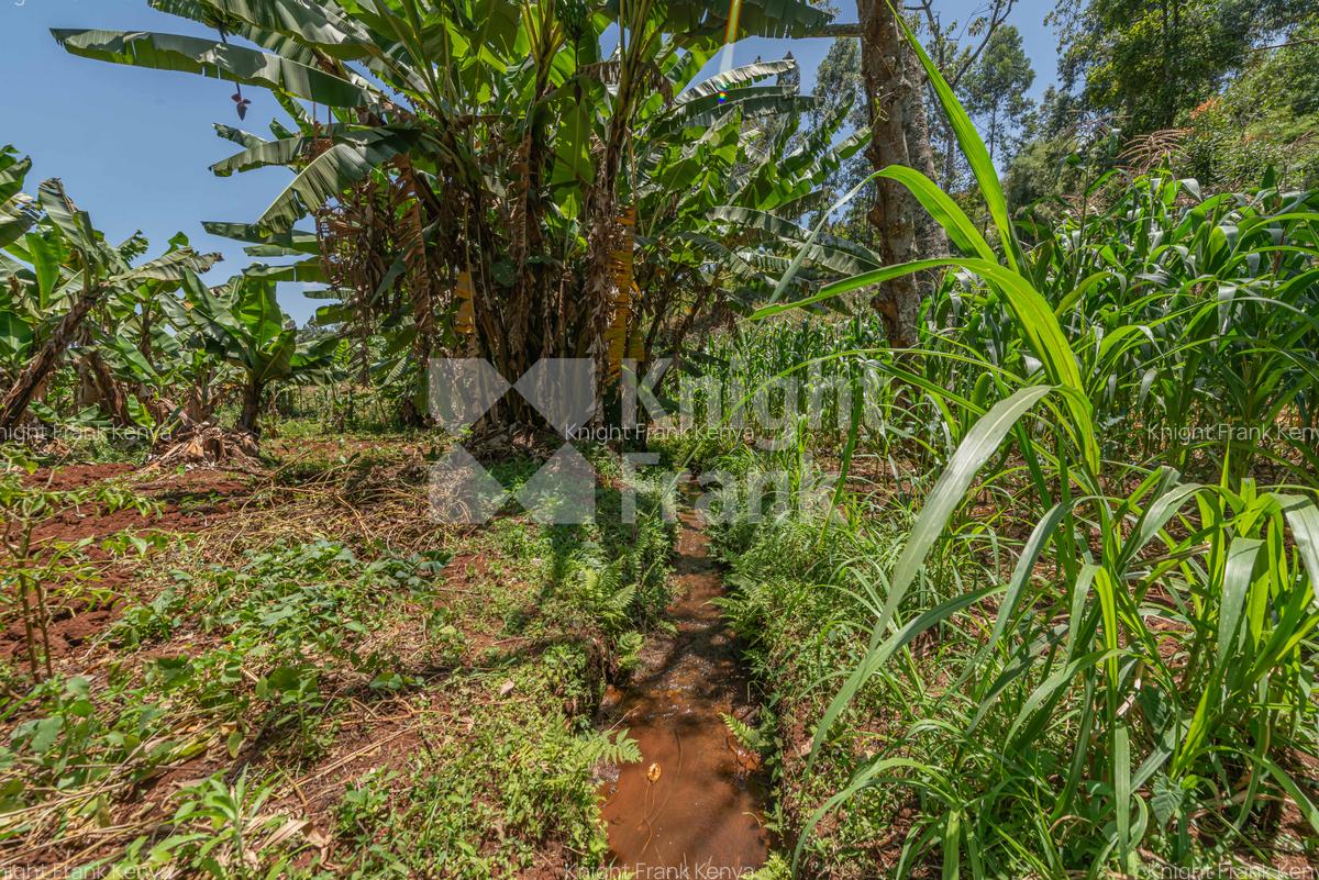 4.8 ac Land in Limuru - 12